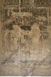 Photo Texture of Habu 0084